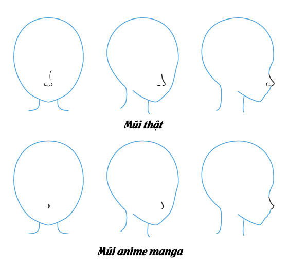 Vẽ mũi nhân vật anime manga như thế nào cho đúng? - Vẽ Hoạt Hình